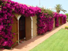 Building for sale in  Balearic Islands
